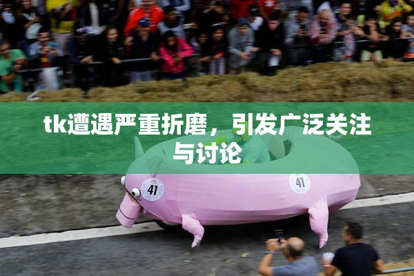 tk遭遇严重折磨，引发广泛关注与讨论