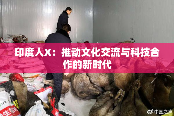 印度人X：推动文化交流与科技合作的新时代