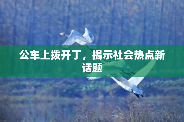 公车上拨开丁，揭示社会热点新话题