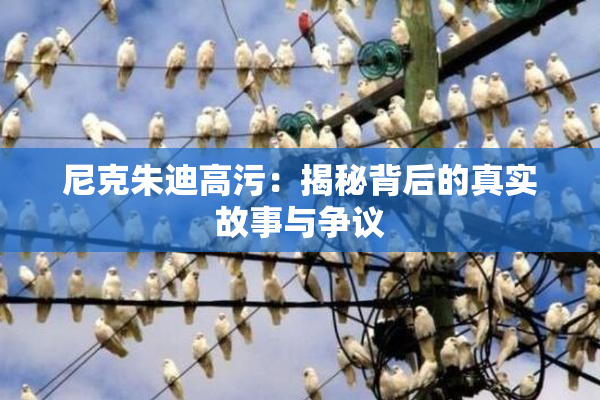 尼克朱迪高污：揭秘背后的真实故事与争议