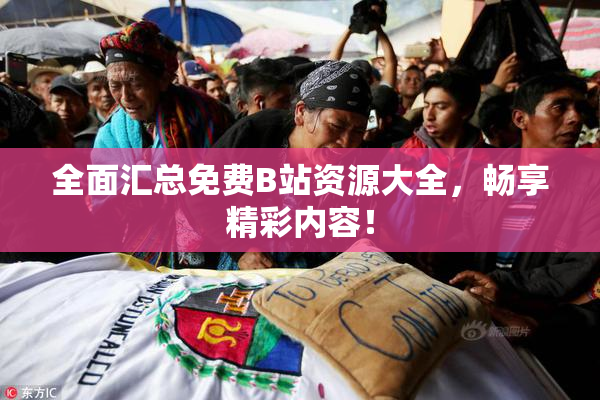 全面汇总免费B站资源大全，畅享精彩内容！