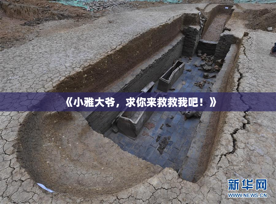 《小雅大爷，求你来救救我吧！》