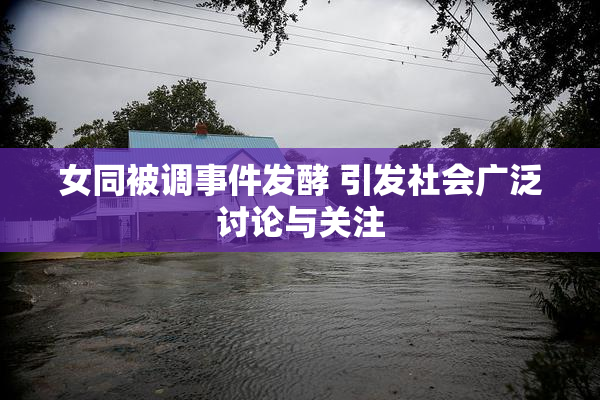 女同被调事件发酵 引发社会广泛讨论与关注