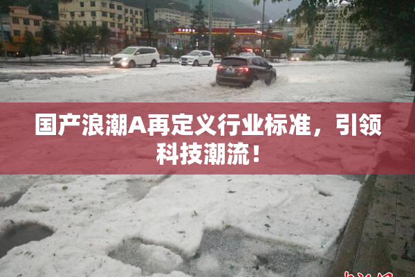 国产浪潮A再定义行业标准，引领科技潮流！