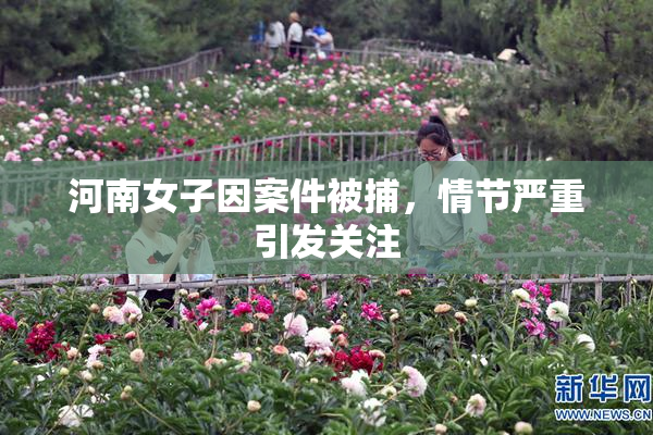 河南女子因案件被捕，情节严重引发关注