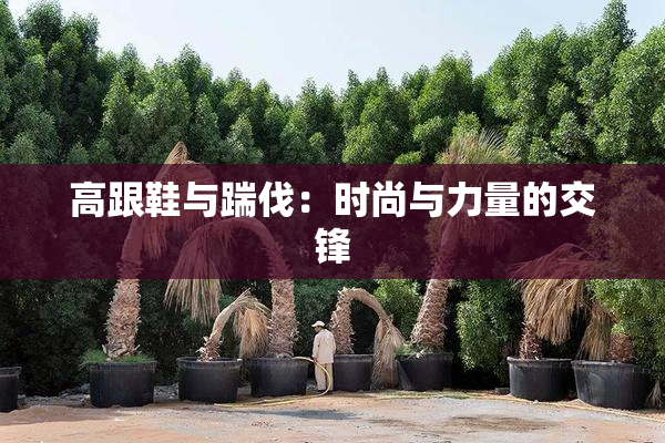 高跟鞋与踹伐：时尚与力量的交锋