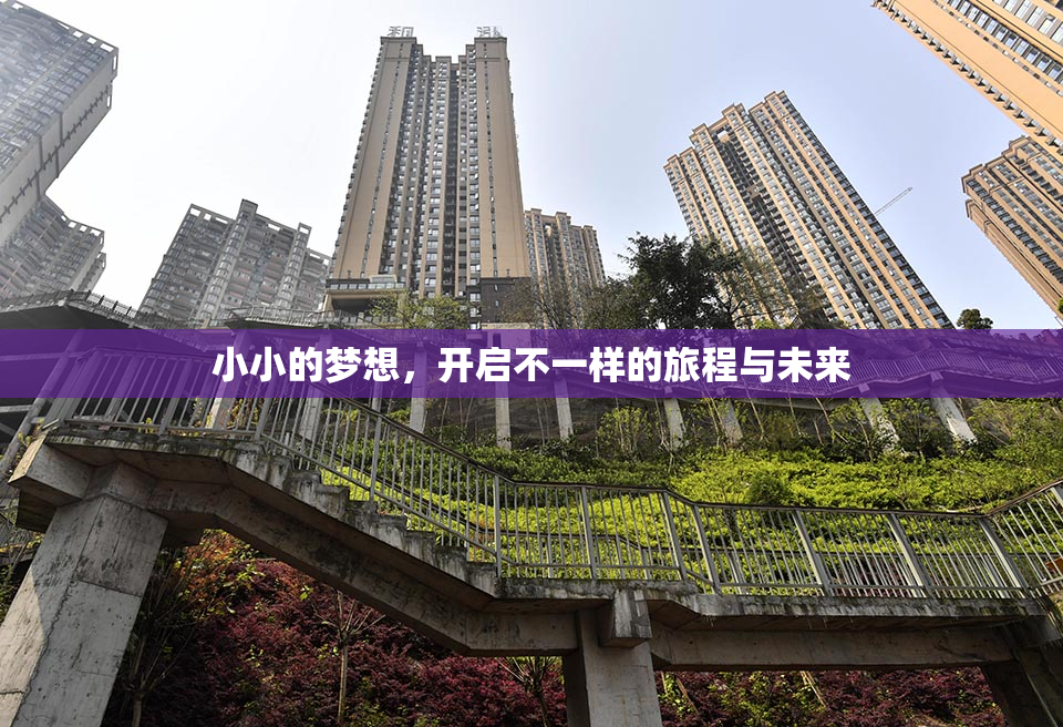 小小的梦想，开启不一样的旅程与未来