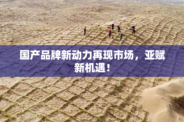 国产品牌新动力再现市场，亚赋新机遇！