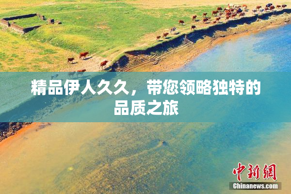 精品伊人久久，带您领略独特的品质之旅