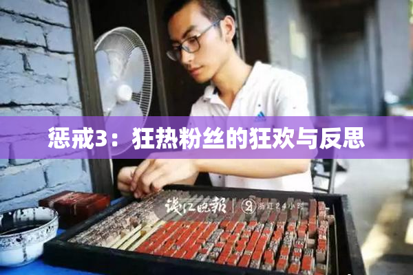 惩戒3：狂热粉丝的狂欢与反思