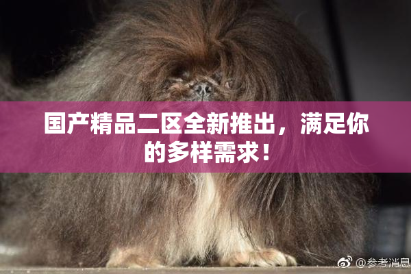 国产精品二区全新推出，满足你的多样需求！