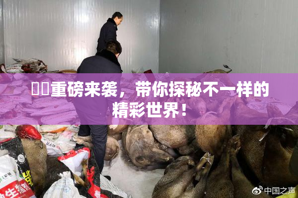 妺妺重磅来袭，带你探秘不一样的精彩世界！