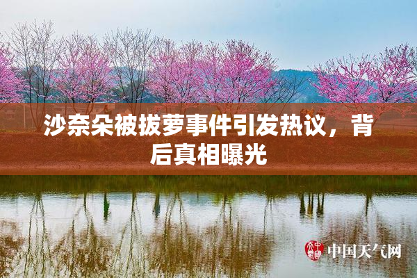沙奈朵被拔萝事件引发热议，背后真相曝光