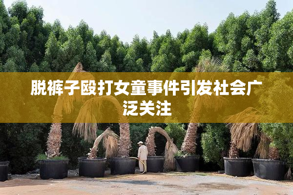 脱裤子殴打女童事件引发社会广泛关注