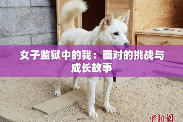女子监狱中的我：面对的挑战与成长故事