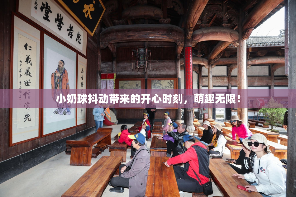 小奶球抖动带来的开心时刻，萌趣无限！