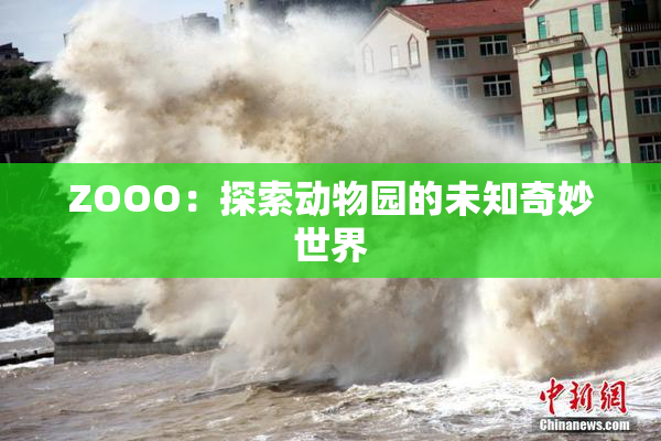 ZOOO：探索动物园的未知奇妙世界