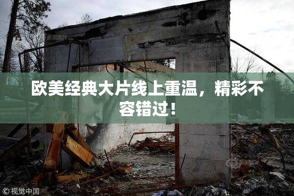 欧美经典大片线上重温，精彩不容错过！