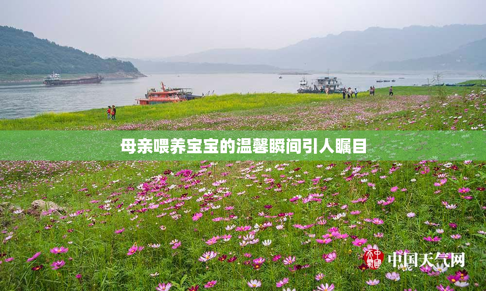 母亲喂养宝宝的温馨瞬间引人瞩目