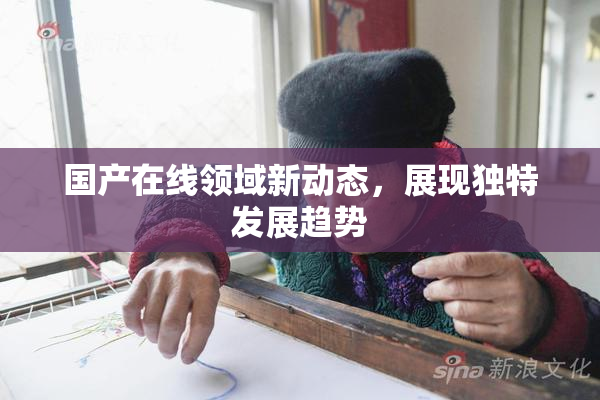国产在线领域新动态，展现独特发展趋势