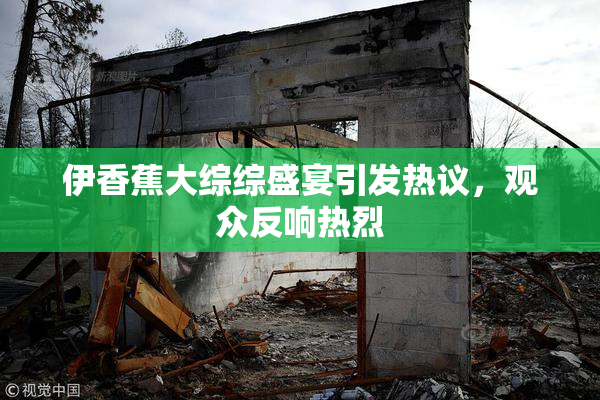 伊香蕉大综综盛宴引发热议，观众反响热烈