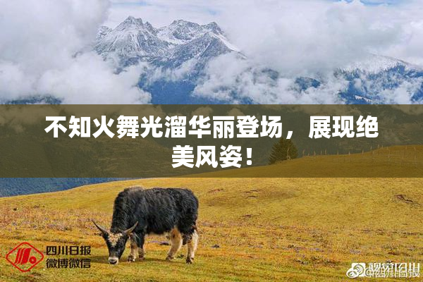 不知火舞光溜华丽登场，展现绝美风姿！