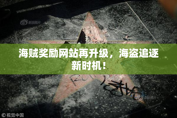 海贼奖励网站再升级，海盗追逐新时机！