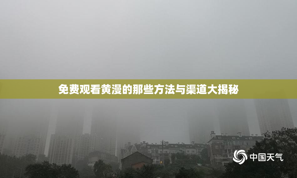 免费观看黄漫的那些方法与渠道大揭秘