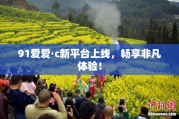 91爱爱·c新平台上线，畅享非凡体验！