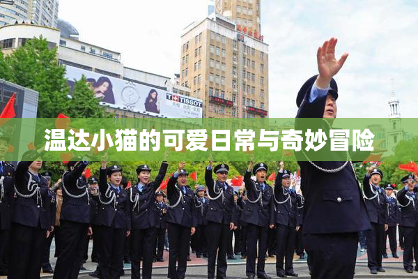 温达小猫的可爱日常与奇妙冒险