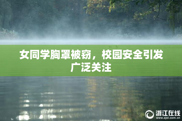 女同学胸罩被窃，校园安全引发广泛关注