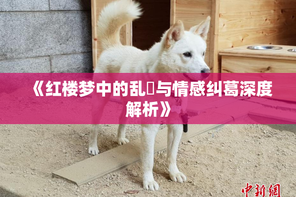 《红楼梦中的乱婬与情感纠葛深度解析》