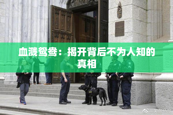 血溅鸳鸯：揭开背后不为人知的真相
