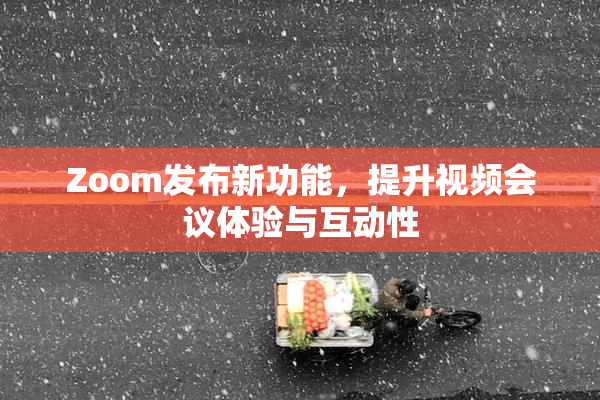 Zoom发布新功能，提升视频会议体验与互动性
