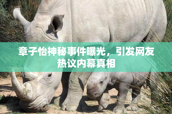 章子怡神秘事件曝光，引发网友热议内幕真相