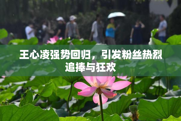 王心凌强势回归，引发粉丝热烈追捧与狂欢