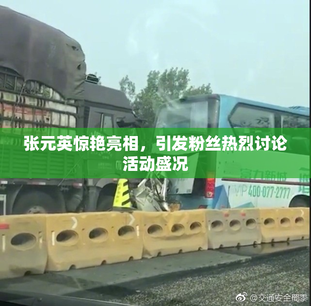 张元英惊艳亮相，引发粉丝热烈讨论活动盛况
