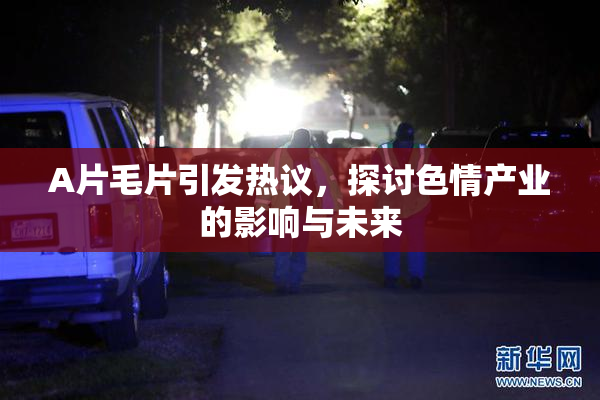 A片毛片引发热议，探讨色情产业的影响与未来
