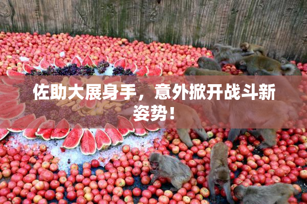 佐助大展身手，意外掀开战斗新姿势！