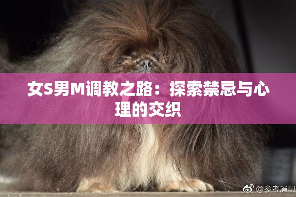 女S男M调教之路：探索禁忌与心理的交织