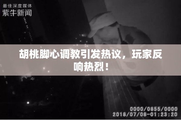 胡桃脚心调教引发热议，玩家反响热烈！