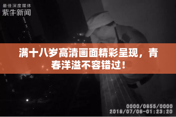 满十八岁高清画面精彩呈现，青春洋溢不容错过！