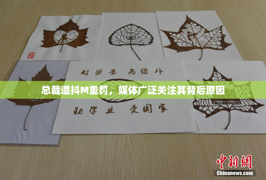 总裁遭抖M重罚，媒体广泛关注其背后原因