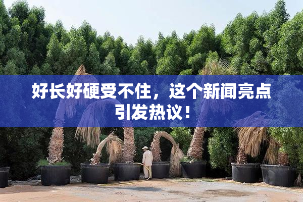 好长好硬受不住，这个新闻亮点引发热议！