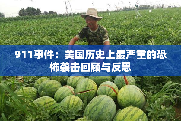 911事件：美国历史上最严重的恐怖袭击回顾与反思