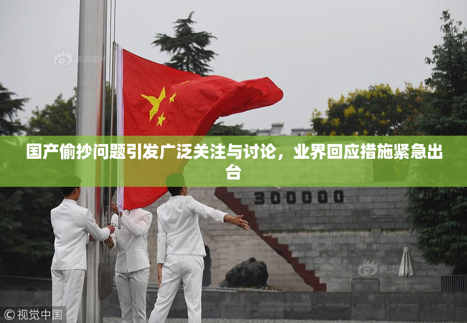 国产偷抄问题引发广泛关注与讨论，业界回应措施紧急出台