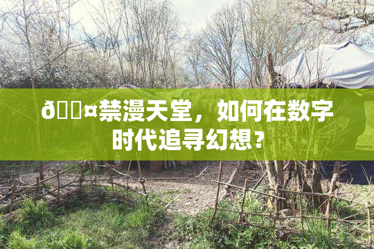 🖤禁漫天堂，如何在数字时代追寻幻想？