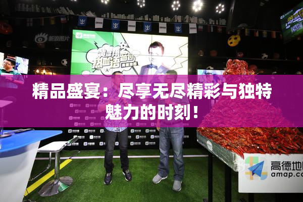 精品盛宴：尽享无尽精彩与独特魅力的时刻！