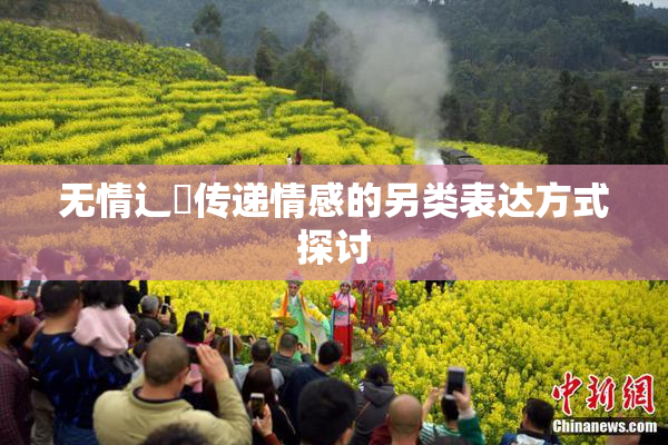 无情辶喿传递情感的另类表达方式探讨