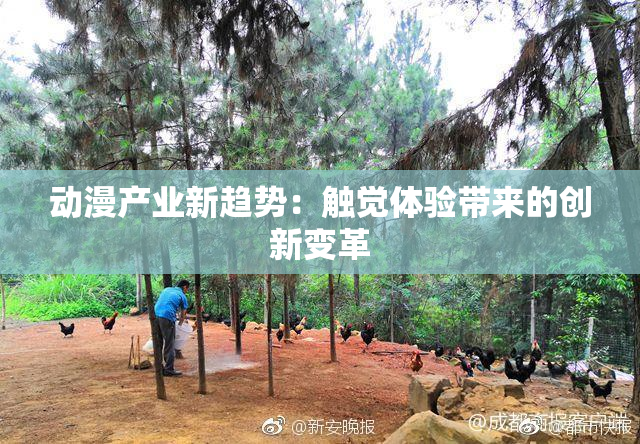 动漫产业新趋势：触觉体验带来的创新变革